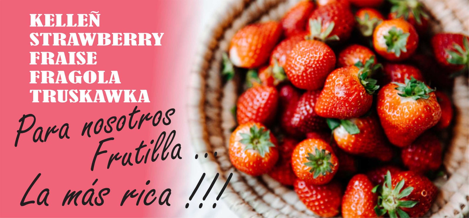 Frutillas para mermelada